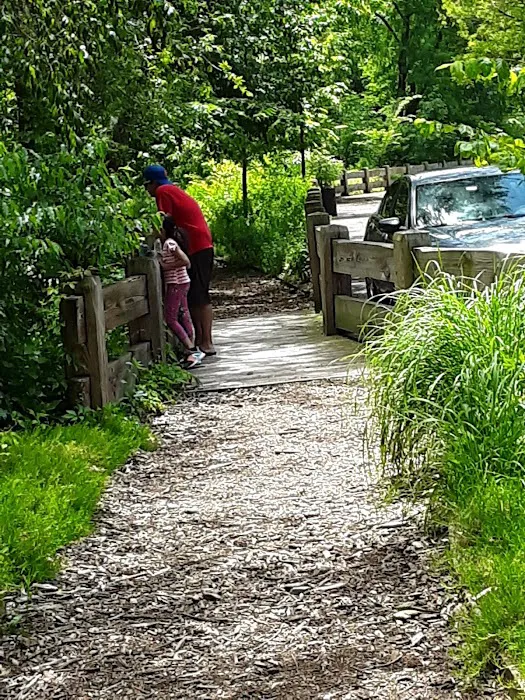 Sherman Creek Picture 6