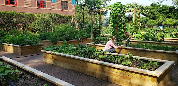Riley-Levin Children's Garden Picture 5