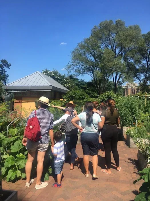 Riley-Levin Children's Garden Picture 4