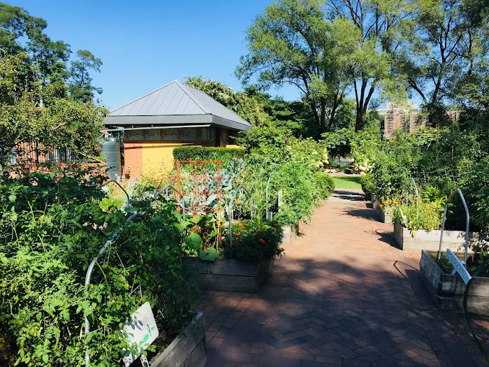 Riley-Levin Children's Garden Picture 7