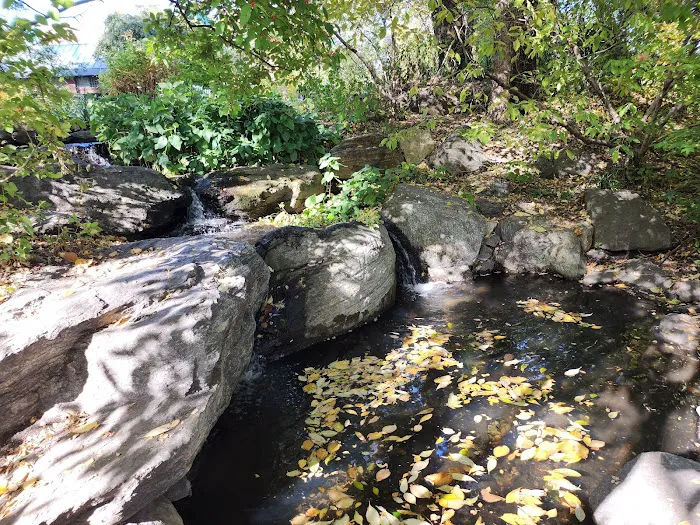 Swindler Cove Picture 10