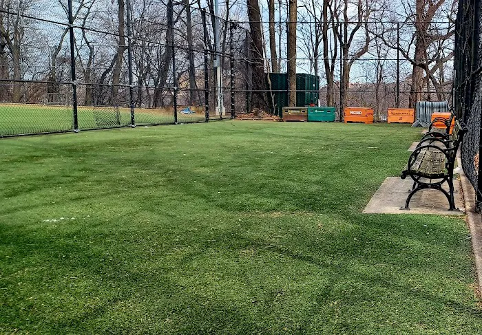 Highbridge Park Dog Run Picture 3