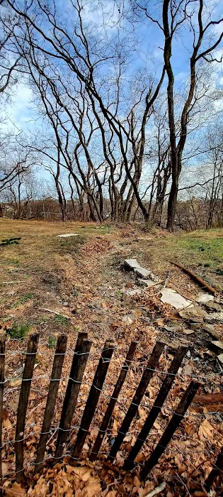 Highbridge Park Dog Run Picture 2