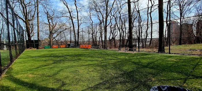 Highbridge Park Dog Run Picture 8