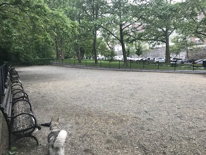 Highbridge Park Dog Run Picture 9