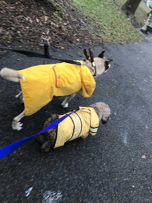 Highbridge Park Dog Run Picture 4
