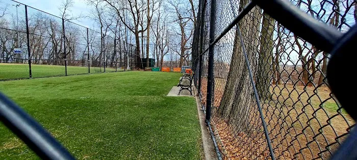 Highbridge Park Dog Run Picture 6
