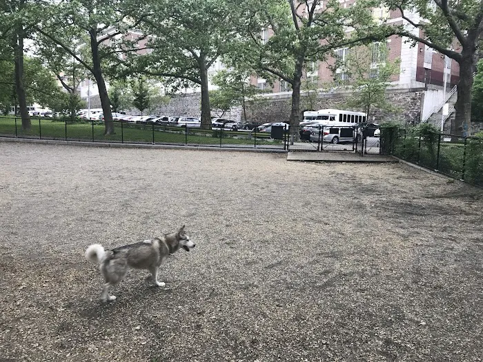 Highbridge Park Dog Run Picture 1