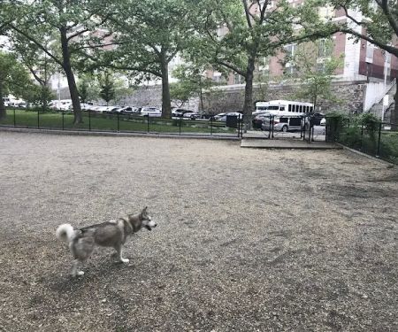 Highbridge Park Dog Run