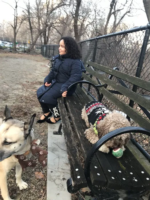 Highbridge Park Dog Run Picture 10