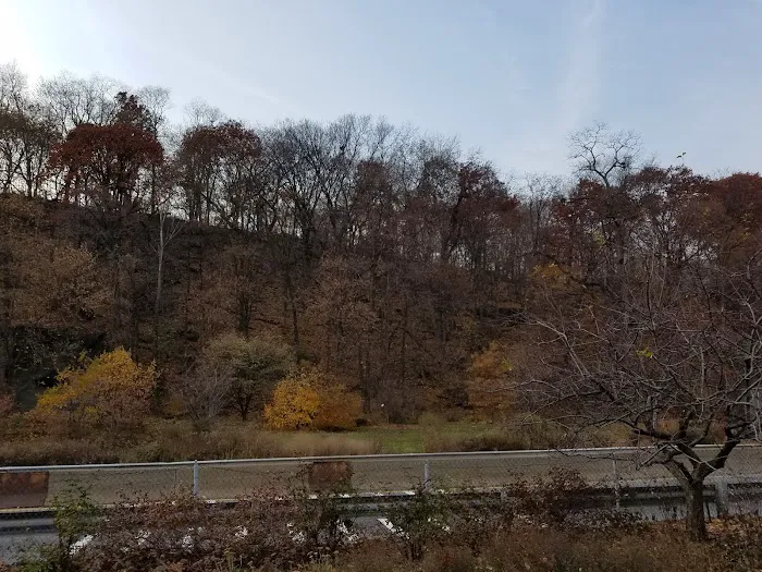 Harlem River Drive Greenway Picture 8