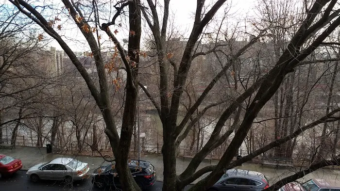 Harlem River Park Picture 4