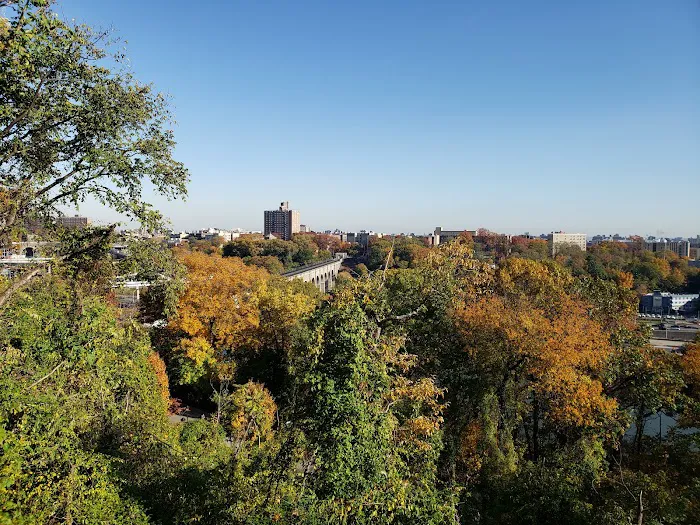Harlem River Park Picture 5