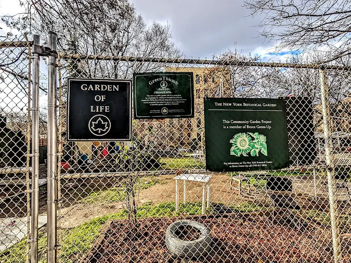 Garden Of Life Picture 4