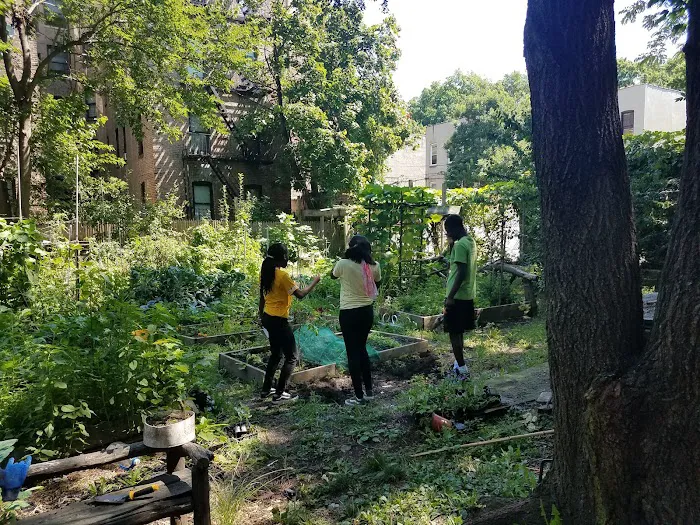 College Avenue Garden Picture 8