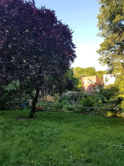 College Avenue Garden Picture 2