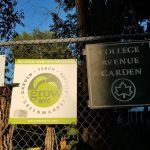 College Avenue Garden