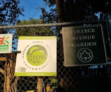 College Avenue Garden