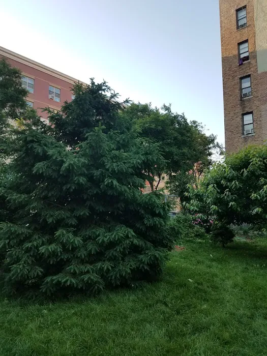 College Avenue Garden Picture 5