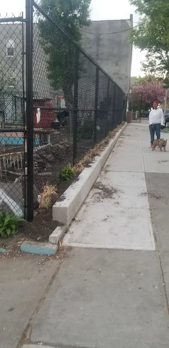 Claremont Neighborhood Community Garden Picture 7