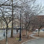 Grant Park