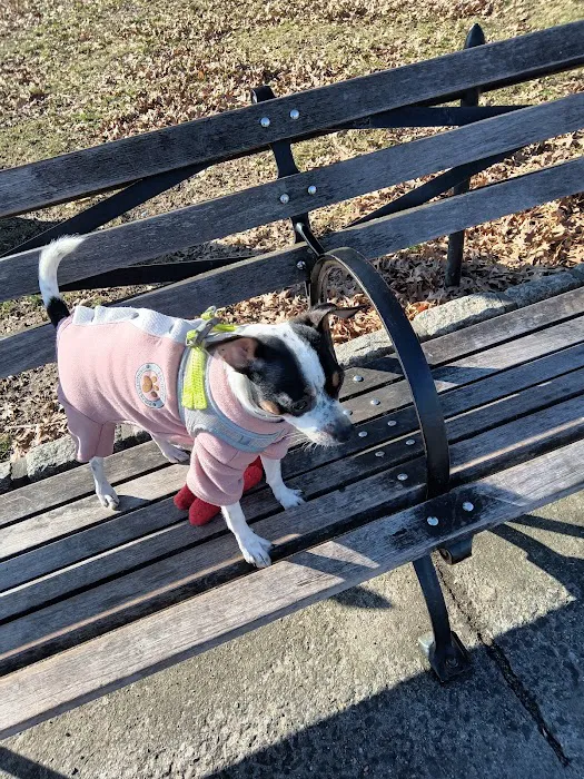 Grant Park Picture 5