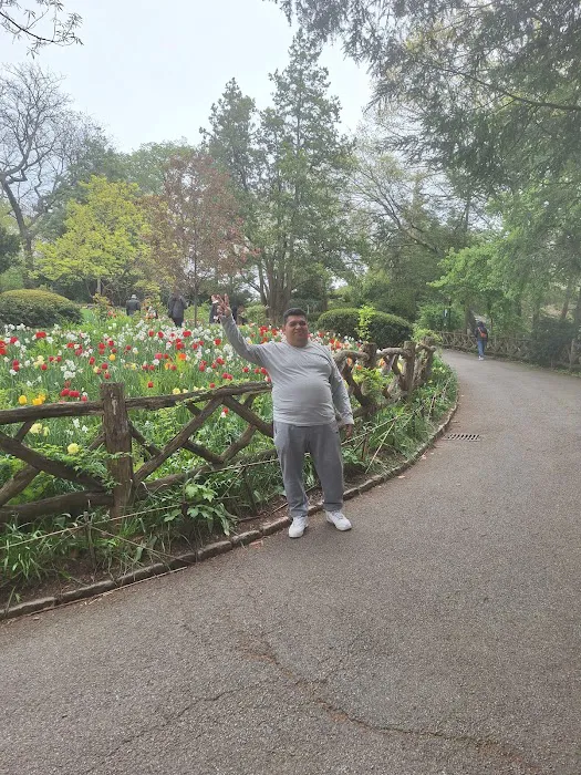 Grant Park Picture 2
