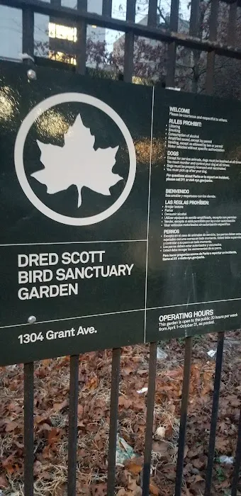 Dred Scott Bird Sanctuary Picture 6