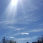 Dred Scott Bird Sanctuary