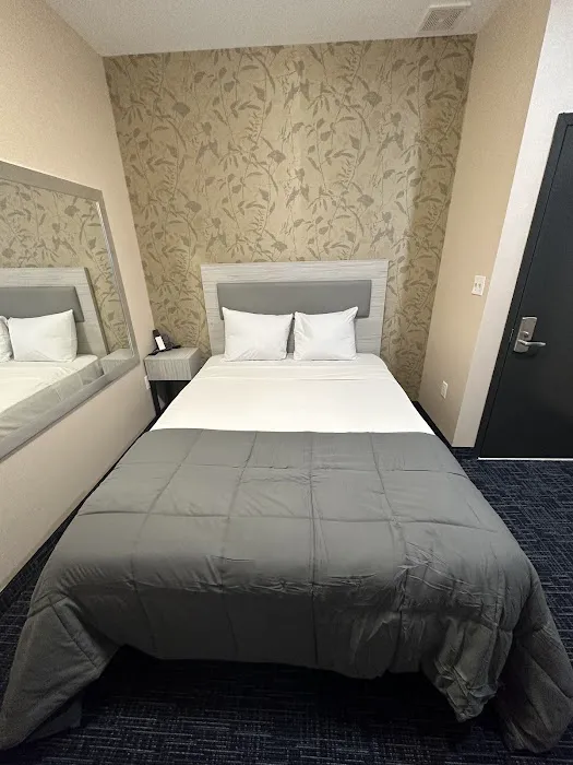 Willis suites Picture 10