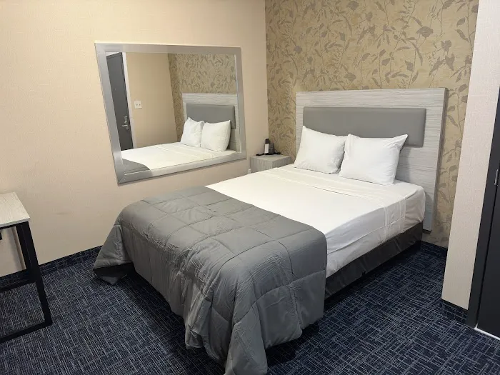 Willis suites Picture 7