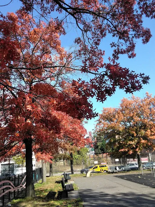 Pulaski Park Picture 9