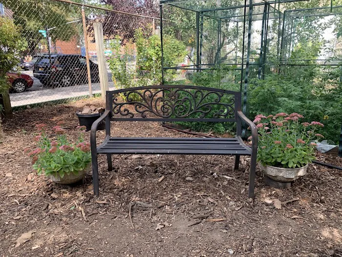 Pleasant Village Community Garden Picture 5
