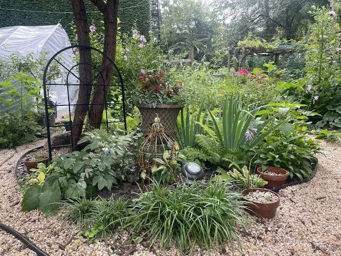 Pleasant Village Community Garden Picture 7