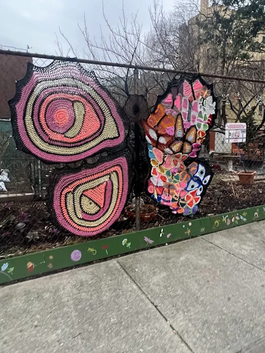 Pleasant Village Community Garden Picture 4