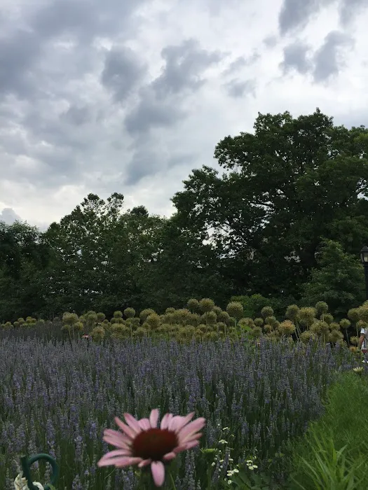 Water's Edge Garden Picture 6