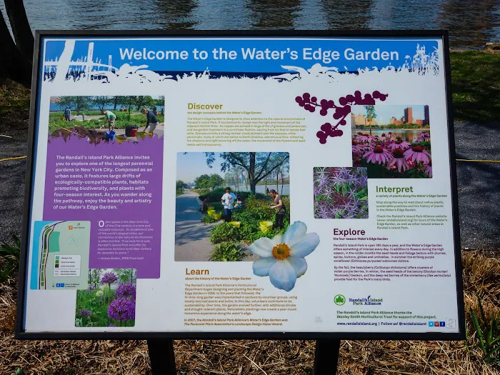 Water's Edge Garden Picture 9
