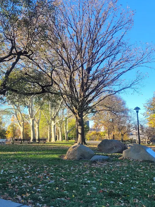 Soccer Cric Astoria Park Picture 1