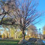 Soccer Cric Astoria Park