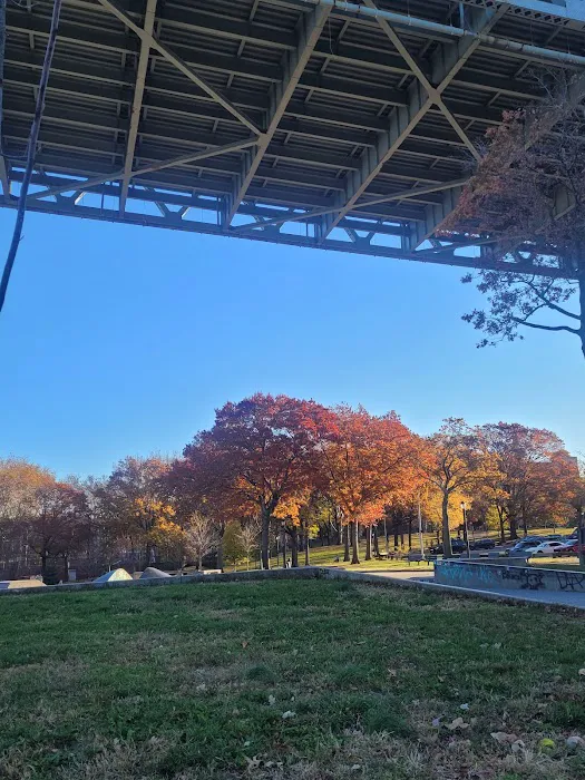 Soccer Cric Astoria Park Picture 4