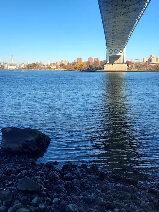 Soccer Cric Astoria Park Picture 3
