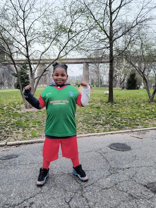 Soccer Cric Astoria Park Picture 8