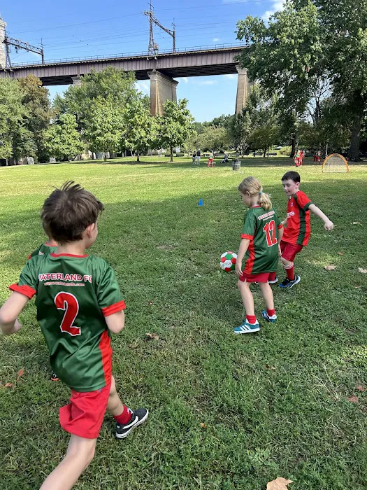 Soccer Cric Astoria Park Picture 7