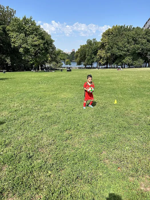 Soccer Cric Astoria Park Picture 9