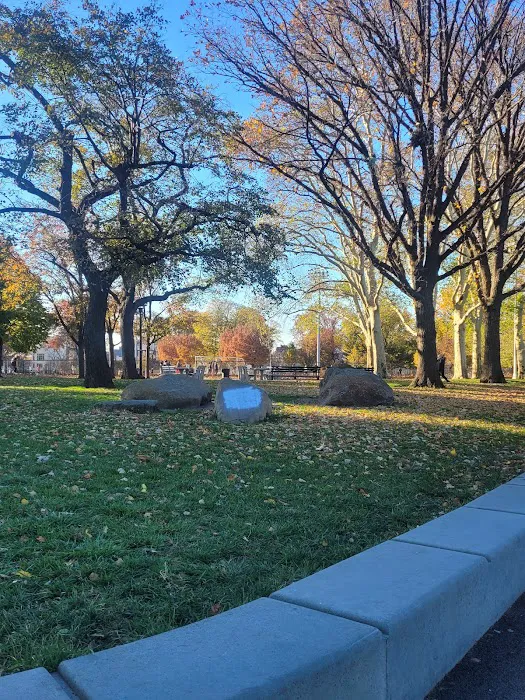 Soccer Cric Astoria Park Picture 6