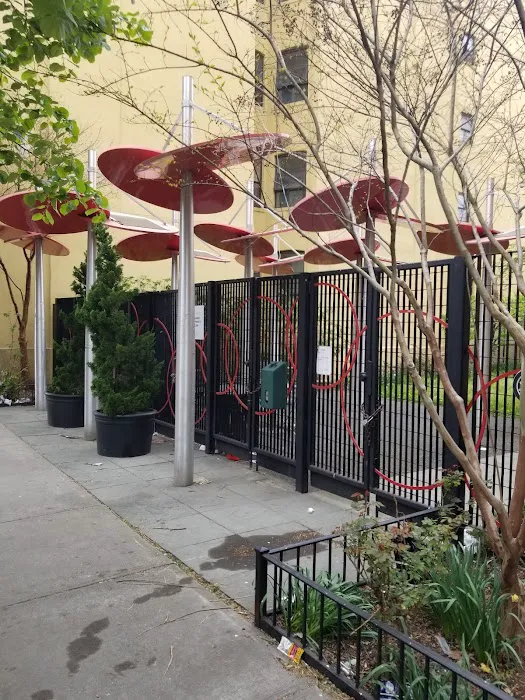 Saint Mark's Garden Picture 6