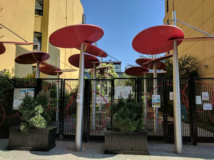 El Barrio Picture 9