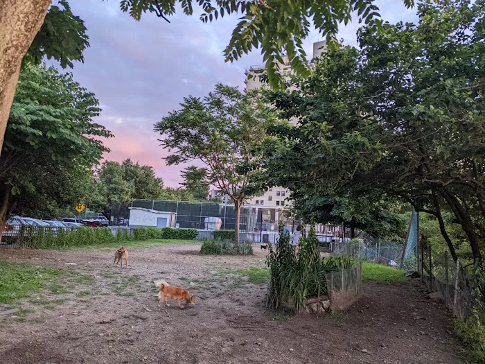 Bugsy's Dog Run Picture 10