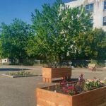 Access Oasis