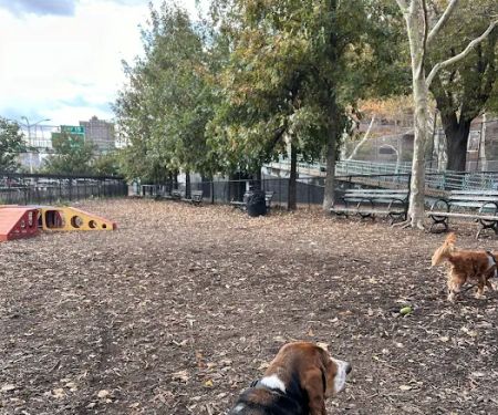 Tom's Dog Run